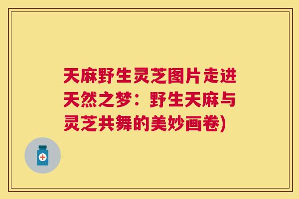 天麻野生灵芝图片走进天然之梦:野生天麻与灵芝共舞的美妙画卷) 天麻野生灵芝图片走进天然之梦:野生天麻与灵芝共舞的美妙画卷)