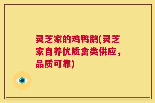 灵芝家的鸡鸭鹅(灵芝家自养优质禽类供应，品质可靠)