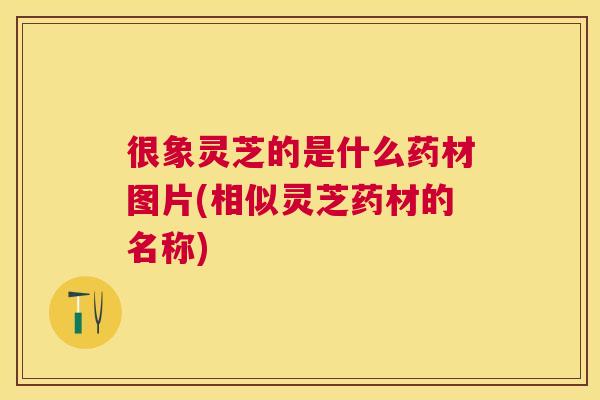很象灵芝的是什么药材图片(相似灵芝药材的名称)