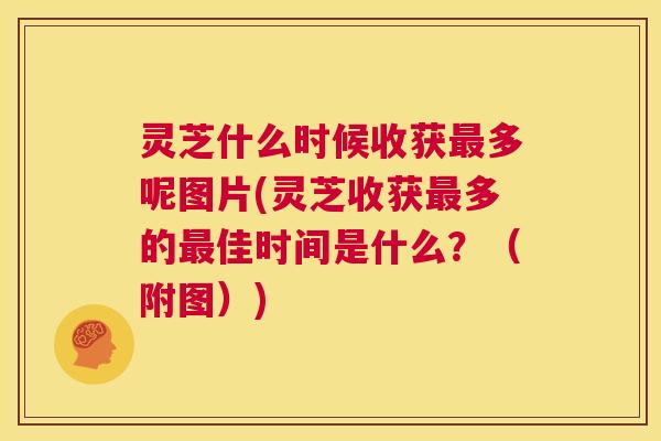 灵芝什么时候收获多呢图片(灵芝收获多的佳时间是什么?(附图)) 灵芝什么时候收获多呢图片(灵芝收获多的佳时间是什么?(附图))