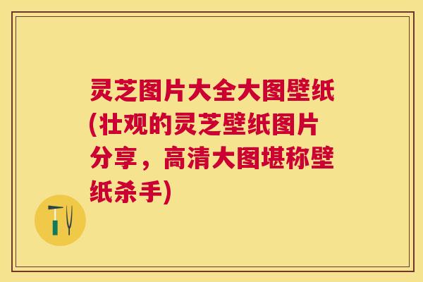 灵芝图片大全大图壁纸(壮观的灵芝壁纸图片分享，高清大图堪称壁纸杀手)