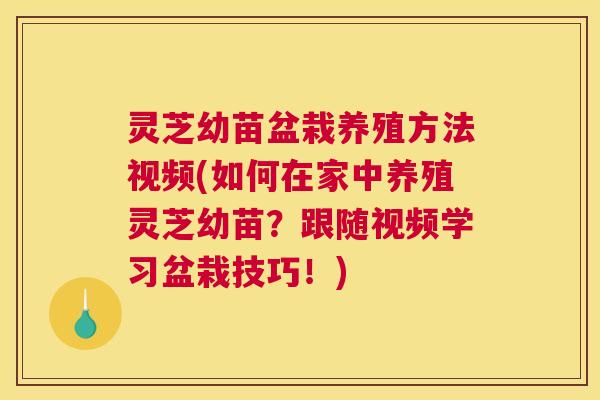 灵芝幼苗盆栽养殖方法视频(如何在家中养殖灵芝幼苗?跟随视频学习盆栽技巧!) 灵芝幼苗盆栽养殖方法视频(如何在家中养殖灵芝幼苗?跟随视频学习盆栽技巧!)