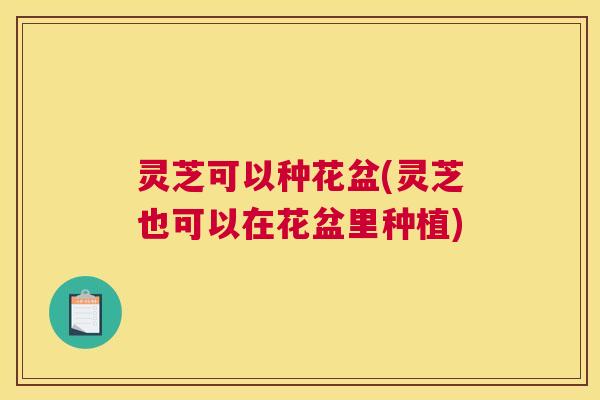 灵芝可以种花盆(灵芝也可以在花盆里种植)