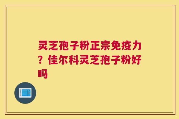 灵芝孢子粉正宗免疫力？佳尔科灵芝孢子粉好吗