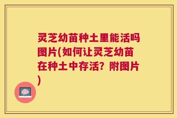 灵芝幼苗种土里能活吗图片(如何让灵芝幼苗在种土中存活？附图片)