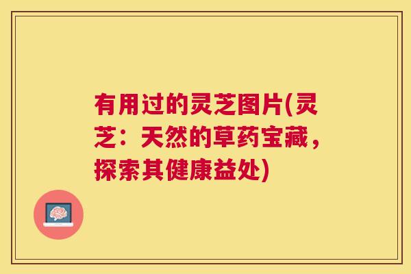 有用过的灵芝图片(灵芝：天然的草药宝藏，探索其健康益处)