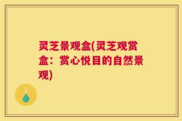灵芝景观盒(灵芝观赏盒:赏心悦目的自然景观) 灵芝景观盒(灵芝观赏盒:赏心悦目的自然景观)