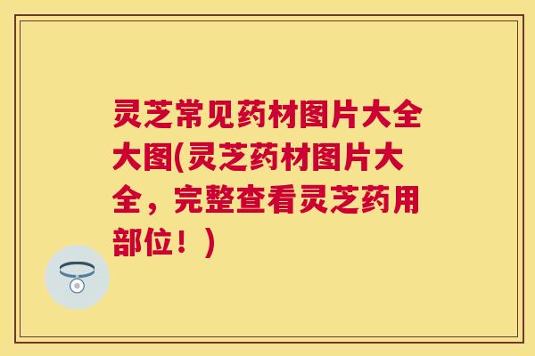 灵芝常见药材图片大全大图(灵芝药材图片大全,完整查看灵芝药用部位!) 灵芝常见药材图片大全大图(灵芝药材图片大全,完整查看灵芝药用部位!)