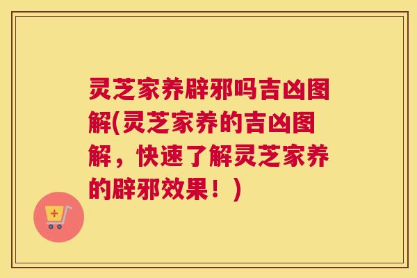 灵芝家养辟邪吗吉凶图解(灵芝家养的吉凶图解,快速了解灵芝家养的辟邪效果!) 灵芝家养辟邪吗吉凶图解(灵芝家养的吉凶图解,快速了解灵芝家养的辟邪效果!)