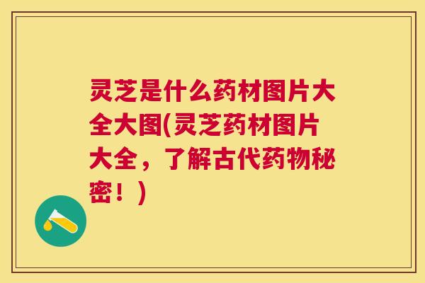灵芝是什么药材图片大全大图(灵芝药材图片大全,了解古代秘密!) 灵芝是什么药材图片大全大图(灵芝药材图片大全,了解古代秘密!)