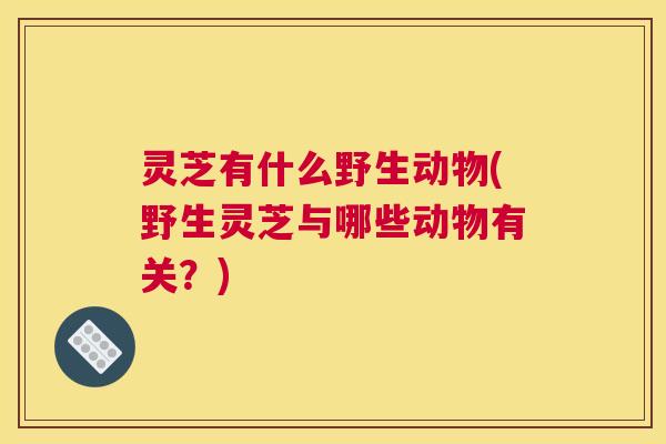 灵芝有什么野生动物(野生灵芝与哪些动物有关？)