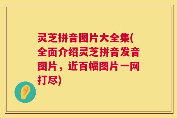 灵芝拼音图片大全集(全面介绍灵芝拼音发音图片，近百幅图片一网打尽)