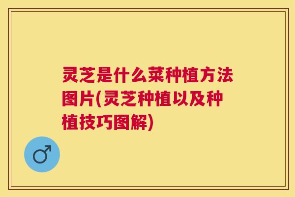 灵芝是什么菜种植方法图片(灵芝种植以及种植技巧图解) 灵芝是什么菜种植方法图片(灵芝种植以及种植技巧图解)