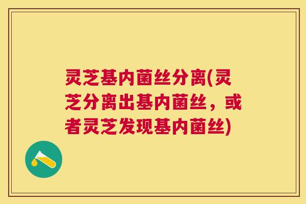 灵芝基内菌丝分离(灵芝分离出基内菌丝，或者灵芝发现基内菌丝)