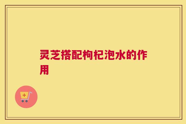 灵芝搭配枸杞泡水的作用