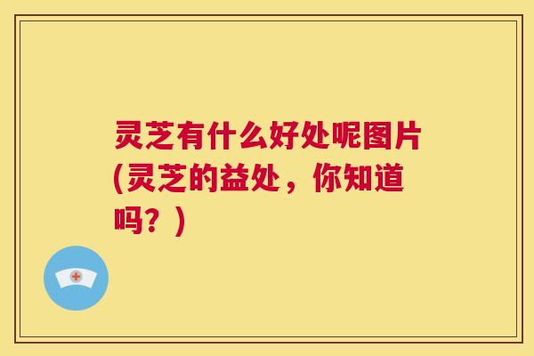 灵芝有什么好处呢图片(灵芝的益处,你知道吗?) 灵芝有什么好处呢图片(灵芝的益处,你知道吗?)