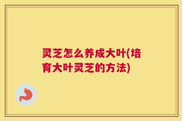 灵芝怎么养成大叶(培育大叶灵芝的方法) 灵芝怎么养成大叶(培育大叶灵芝的方法)