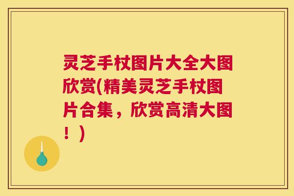 灵芝手杖图片大全大图欣赏(精美灵芝手杖图片合集，欣赏高清大图！)