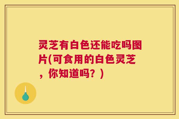 灵芝有白色还能吃吗图片(可食用的白色灵芝，你知道吗？)