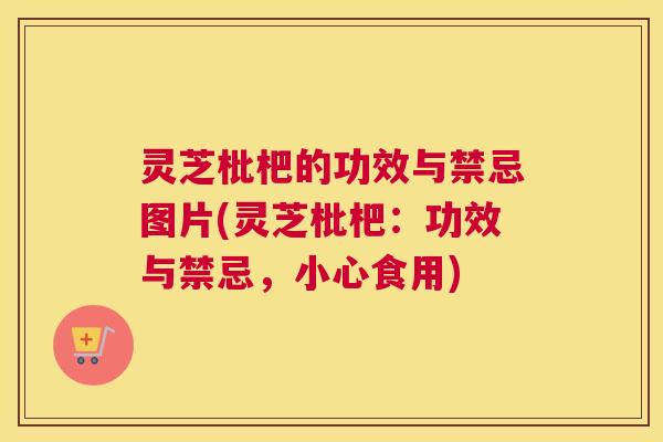 灵芝枇杷的功效与禁忌图片(灵芝枇杷：功效与禁忌，小心食用)