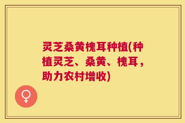 灵芝桑黄槐耳种植(种植灵芝、桑黄、槐耳，助力农村增收)