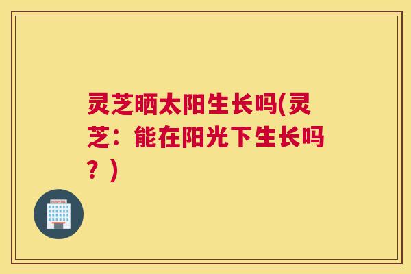 灵芝晒太阳生长吗(灵芝：能在阳光下生长吗？)