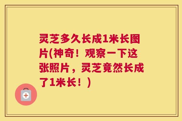 灵芝多久长成1米长图片(神奇！观察一下这张照片，灵芝竟然长成了1米长！)