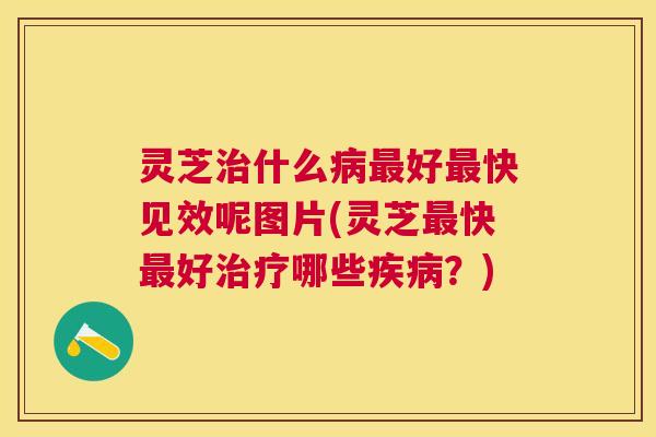 灵芝治什么病最好最快见效呢图片(灵芝最快最好治疗哪些疾病？)