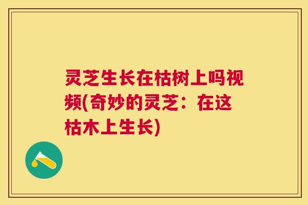 灵芝生长在枯树上吗视频(奇妙的灵芝:在这枯木上生长) 灵芝生长在枯树上吗视频(奇妙的灵芝:在这枯木上生长)