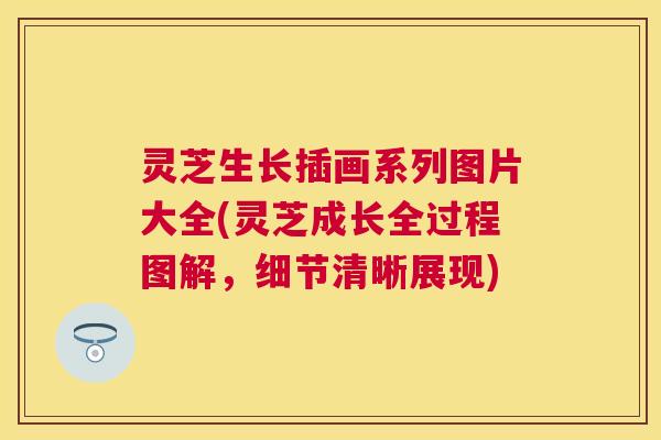 灵芝生长插画系列图片大全(灵芝成长全过程图解，细节清晰展现)