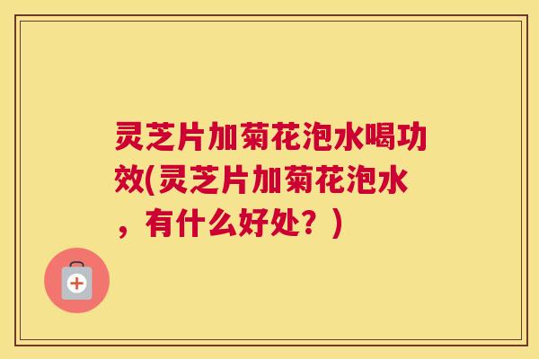 灵芝片加菊花泡水喝功效(灵芝片加菊花泡水，有什么好处？)