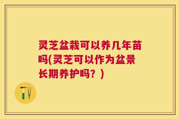 灵芝盆栽可以养几年苗吗(灵芝可以作为盆景长期养护吗？)
