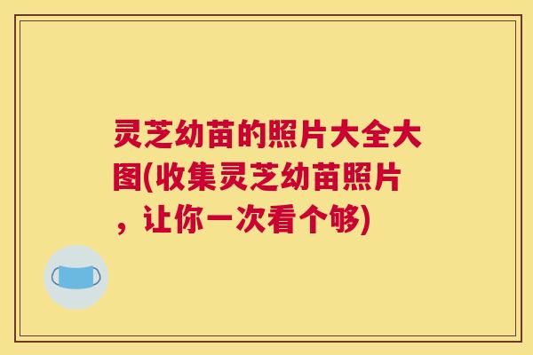 灵芝幼苗的照片大全大图(收集灵芝幼苗照片，让你一次看个够)