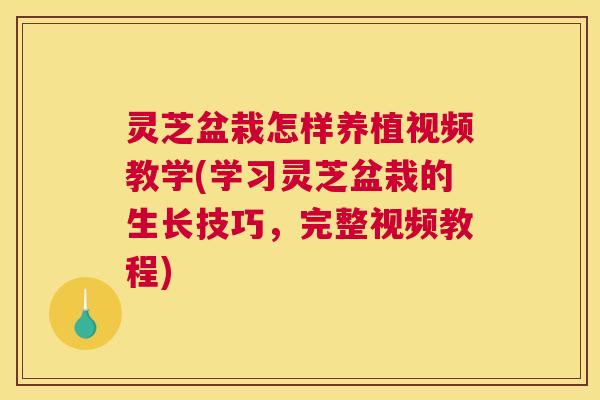 灵芝盆栽怎样养植视频教学(学习灵芝盆栽的生长技巧，完整视频教程)