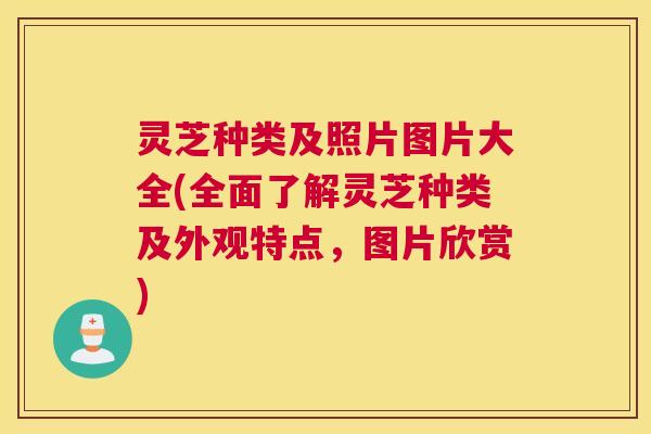 灵芝种类及照片图片大全(全面了解灵芝种类及外观特点,图片欣赏) 灵芝种类及照片图片大全(全面了解灵芝种类及外观特点,图片欣赏)