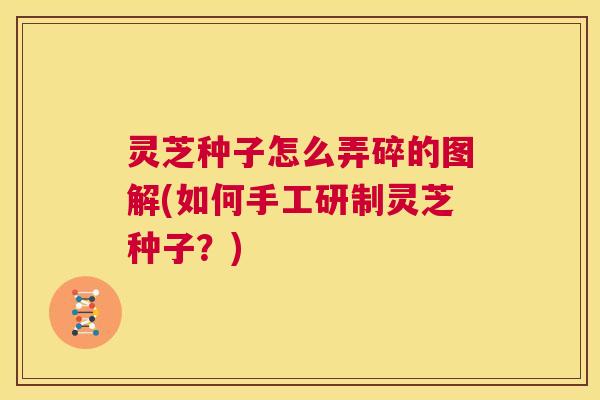 灵芝种子怎么弄碎的图解(如何手工研制灵芝种子？)