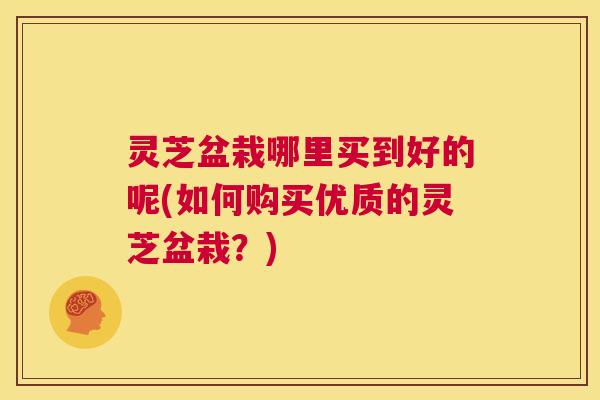 灵芝盆栽哪里买到好的呢(如何购买优质的灵芝盆栽?) 灵芝盆栽哪里买到好的呢(如何购买优质的灵芝盆栽?)