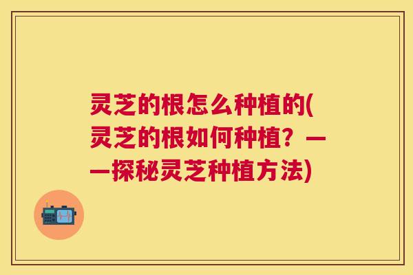 灵芝的根怎么种植的(灵芝的根如何种植？——探秘灵芝种植方法)