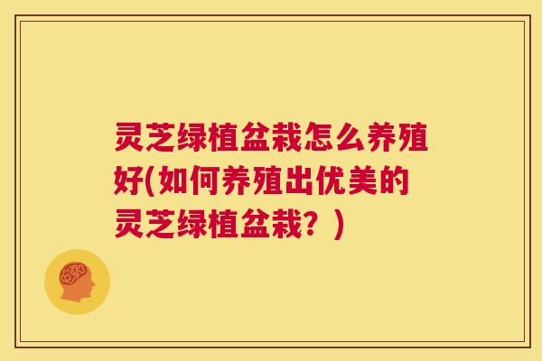 灵芝绿植盆栽怎么养殖好(如何养殖出优美的灵芝绿植盆栽？)