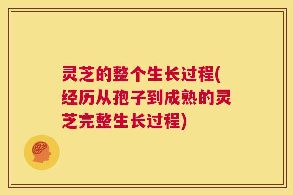 灵芝的整个生长过程(经历从孢子到成熟的灵芝完整生长过程)