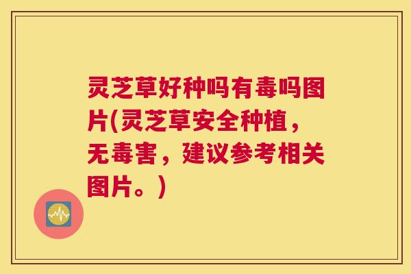 灵芝草好种吗有毒吗图片(灵芝草安全种植,无毒害,建议参考相关图片。) 灵芝草好种吗有毒吗图片(灵芝草安全种植,无毒害,建议参考相关图片。)