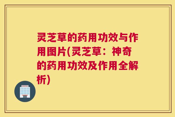灵芝草的药用功效与作用图片(灵芝草:神奇的药用功效及作用全解析) 灵芝草的药用功效与作用图片(灵芝草:神奇的药用功效及作用全解析)