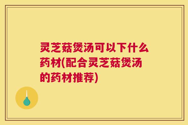 灵芝菇煲汤可以下什么药材(配合灵芝菇煲汤的药材推荐)