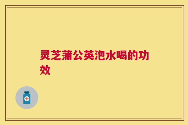 灵芝蒲公英泡水喝的功效