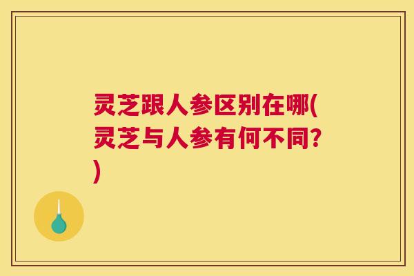 灵芝跟人参区别在哪(灵芝与人参有何不同?) 灵芝跟人参区别在哪(灵芝与人参有何不同?)