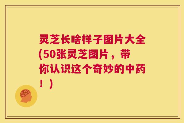 灵芝长啥样子图片大全(50张灵芝图片，带你认识这个奇妙的中药！)