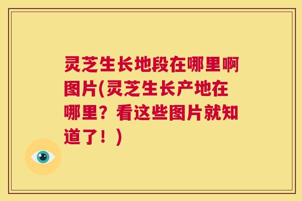 灵芝生长地段在哪里啊图片(灵芝生长产地在哪里?看这些图片就知道了!) 灵芝生长地段在哪里啊图片(灵芝生长产地在哪里?看这些图片就知道了!)