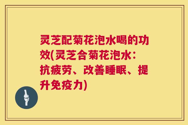 灵芝配菊花泡水喝的功效(灵芝合菊花泡水：、改善、提升免疫力)