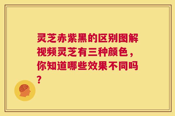 灵芝赤紫黑的区别图解视频灵芝有三种颜色,你知道哪些效果不同吗? 灵芝赤紫黑的区别图解视频灵芝有三种颜色,你知道哪些效果不同吗?