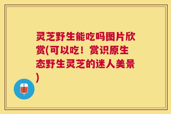 灵芝野生能吃吗图片欣赏(可以吃！赏识原生态野生灵芝的迷人美景)